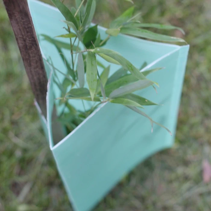 Outdoor PP Plastic Tree Guards best