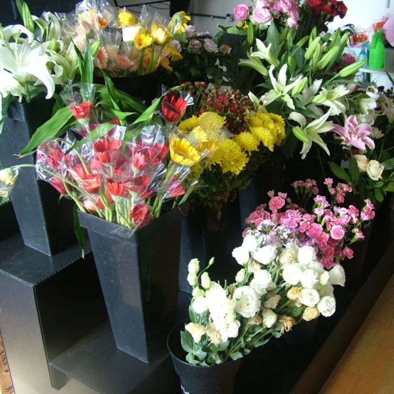 PP Display Stand PP Display Stand