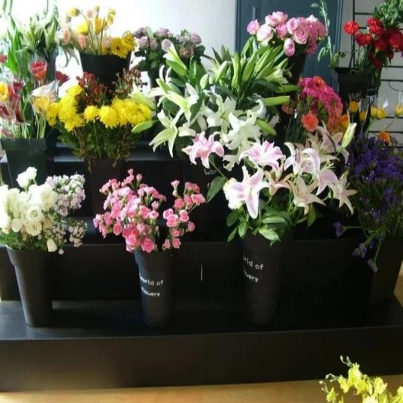 Rigid Display Stand
